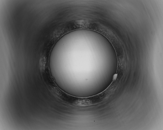 X0000100320752200806051517