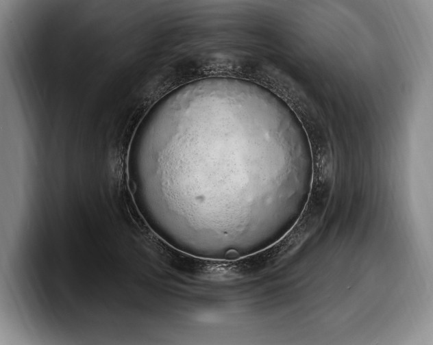 X0000100320753200806051517