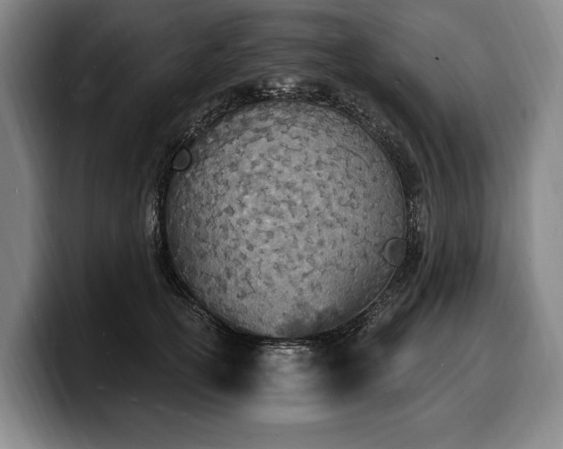 X0000100320754200806051517