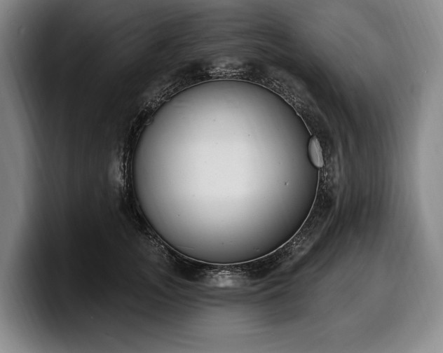 X0000100320755200806051517