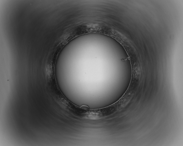 X0000100320756200806051517