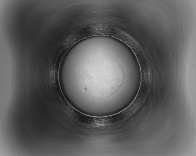 X0000100320757200806051517