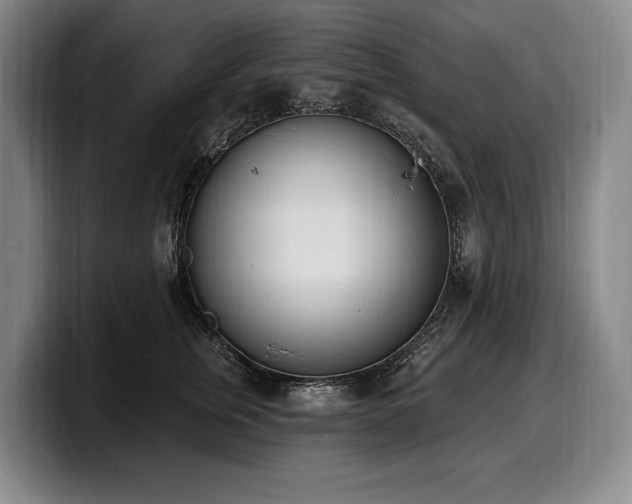 X0000100320759200806051517