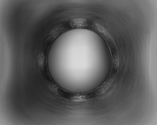 X0000100320760200806051517