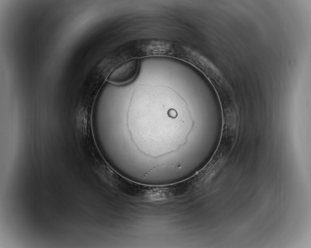 X0000100320761200806051517