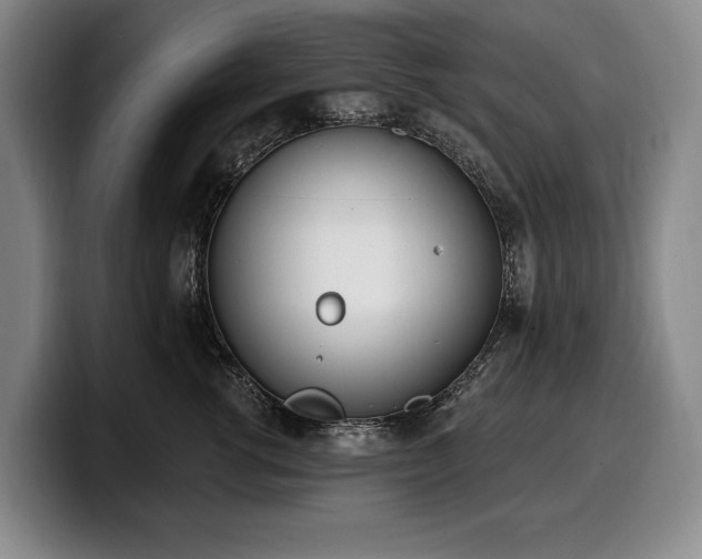 X0000100320762200806051517