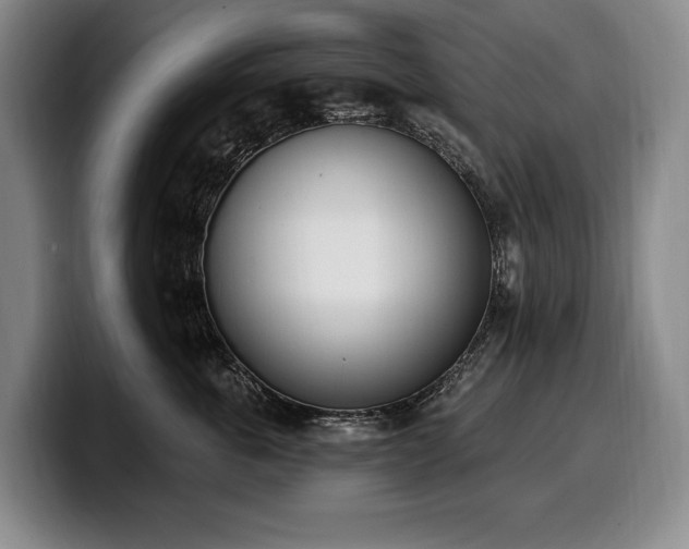 X0000100320763200806051517