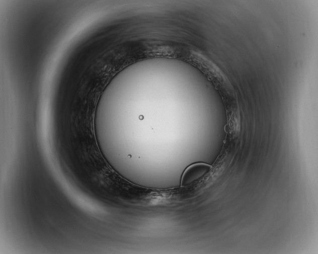 X0000100320764200806051517