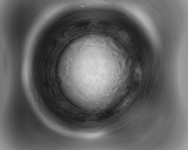 X0000100320765200806051517