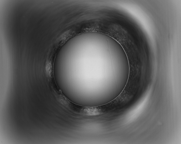 X0000100320767200806051517