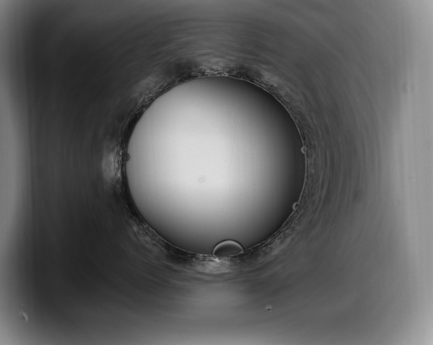 X0000100320768200806051517