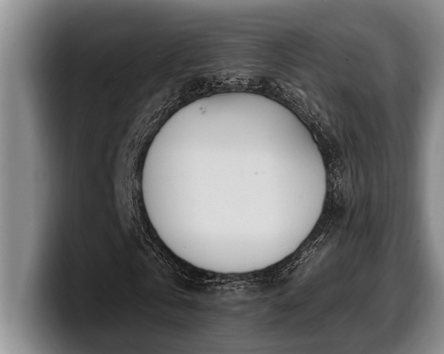 X0000100320769200806051516