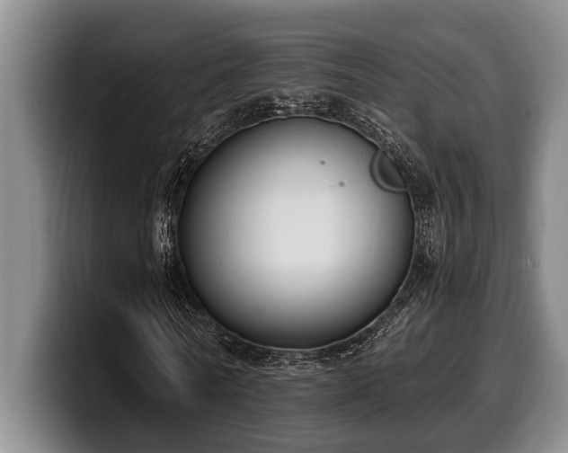 X0000100320770200806051516