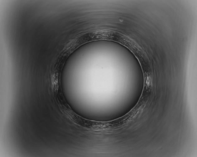 X0000100320771200806051516