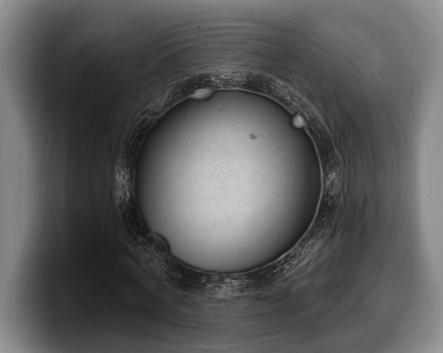 X0000100320772200806051516