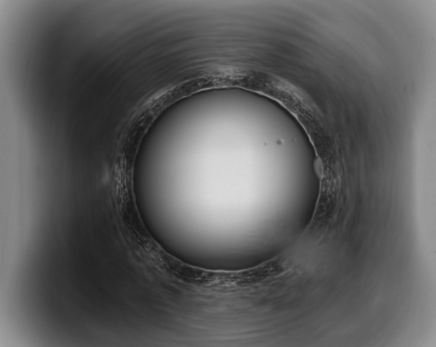 X0000100320773200806051516