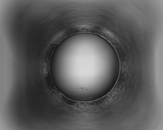 X0000100320774200806051516