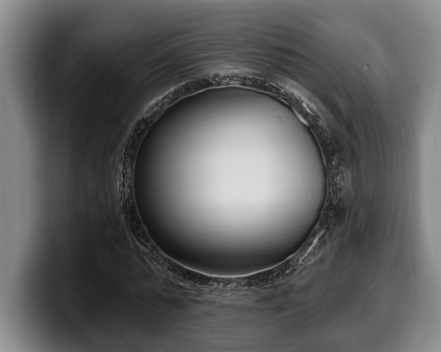 X0000100320775200806051516