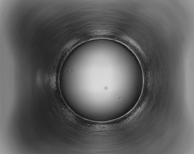 X0000100320777200806051516