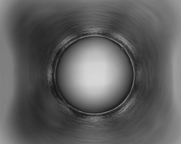 X0000100320778200806051516