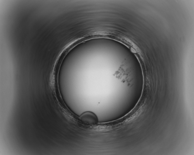 X0000100320779200806051516