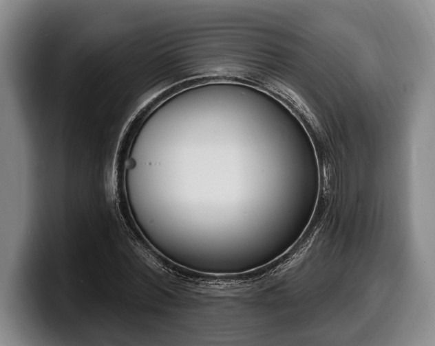 X0000100320780200806051516