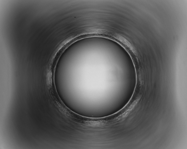 X0000100320781200806051516