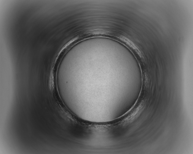 X0000100320782200806051516