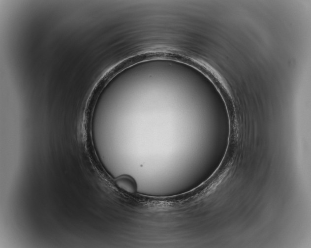 X0000100320783200806051516