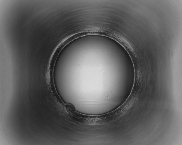 X0000100320784200806051516