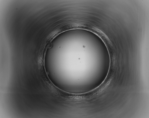 X0000100320785200806051516