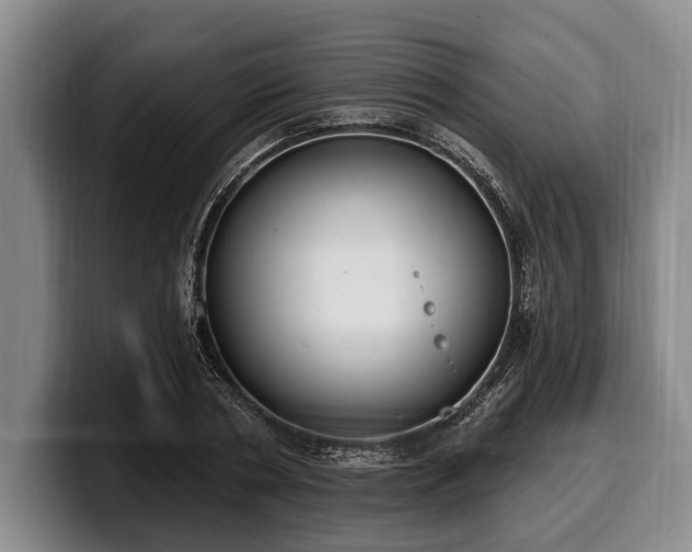 X0000100320786200806051516