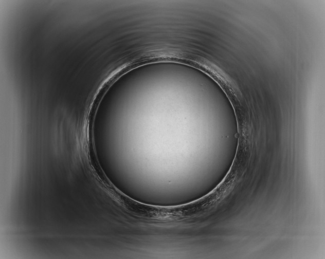 X0000100320790200806051516