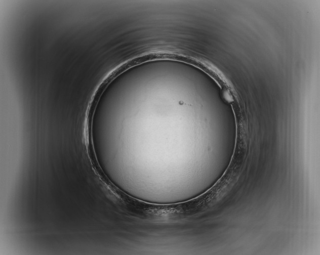 X0000100320791200806051516