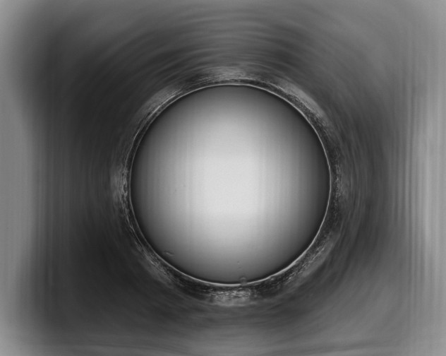 X0000100320793200806051516