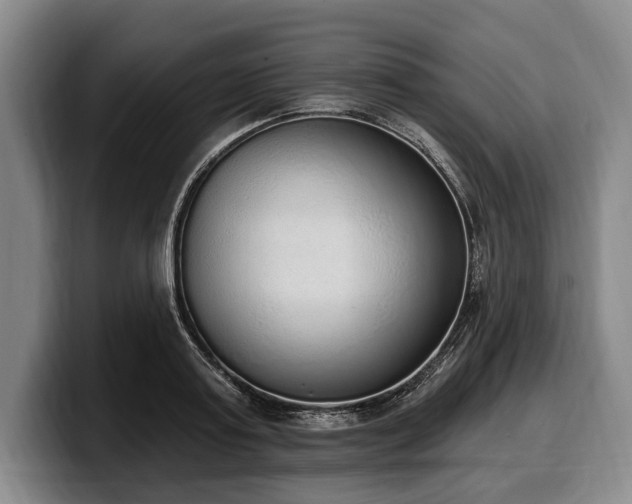 X0000100320795200806051516