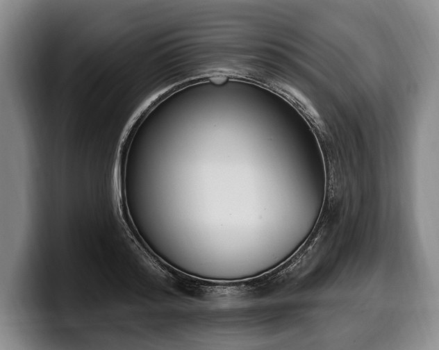 X0000100320796200806051516