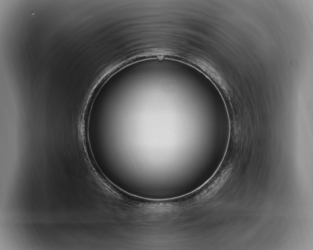 X0000100320797200806051516