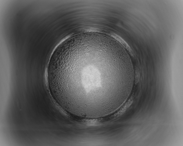 X0000100320798200806051516