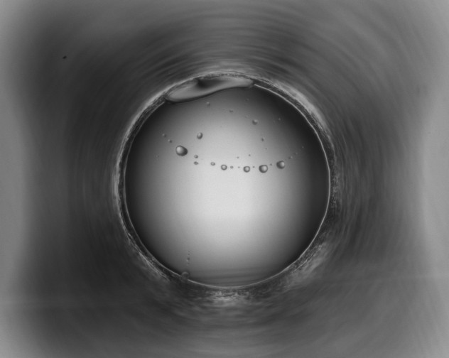 X0000100320799200806051516