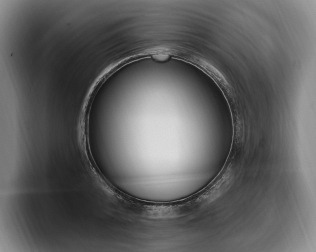 X0000100320800200806051516