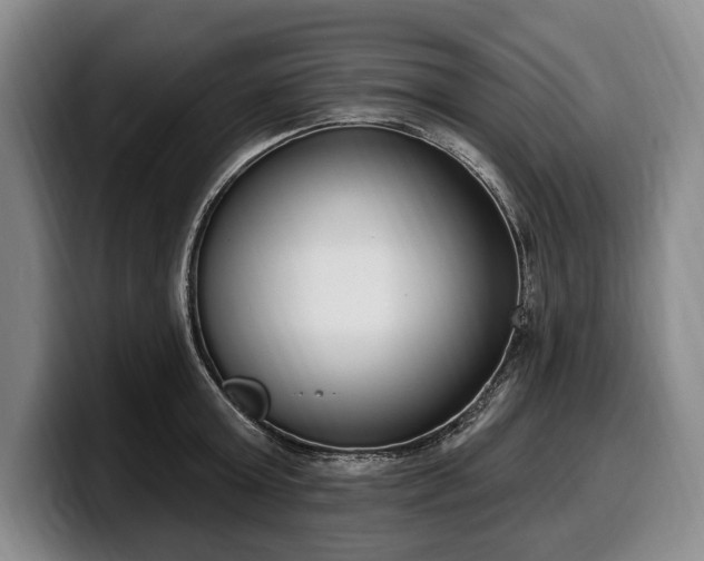 X0000100320803200806051516