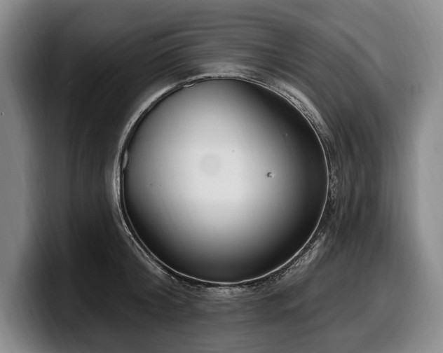 X0000100320804200806051516