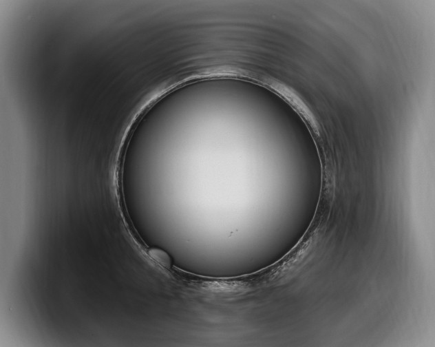 X0000100320805200806051516