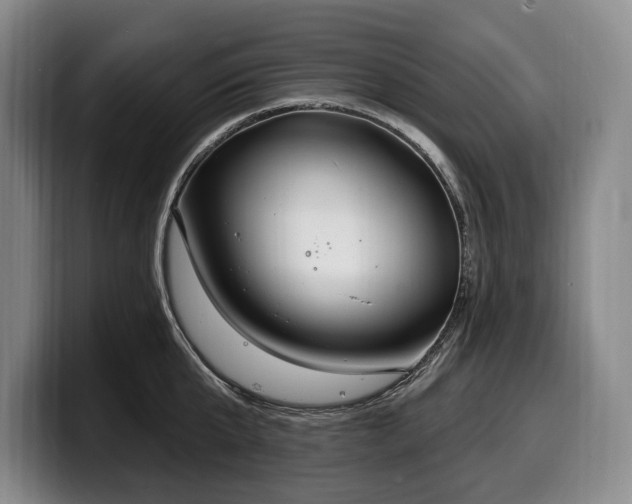 X0000100320807200806051516