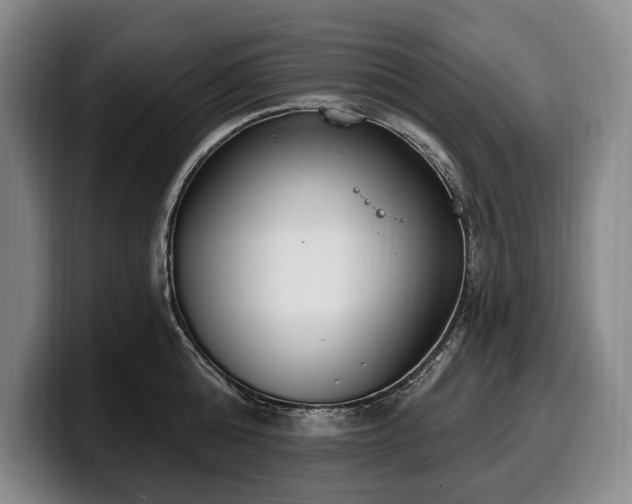 X0000100320808200806051516