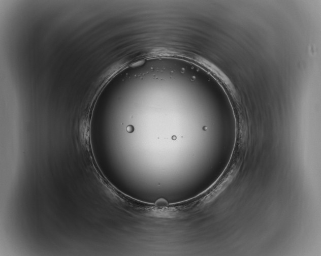 X0000100320809200806051516