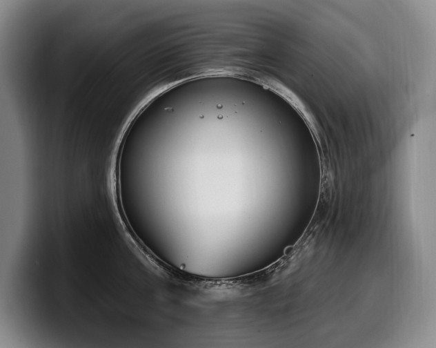 X0000100320811200806051516