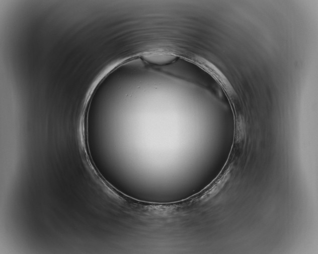 X0000100320812200806051516