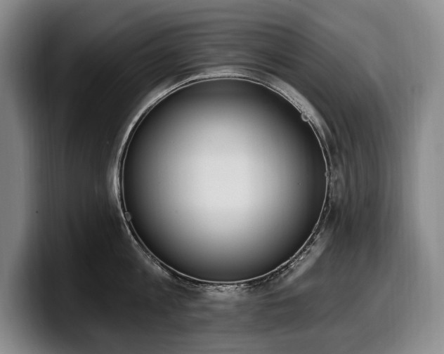 X0000100320813200806051515